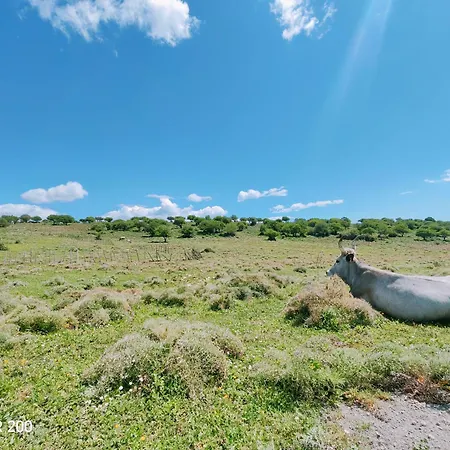 Aminth Relax Tra Mare E Colline 산타마리넬라