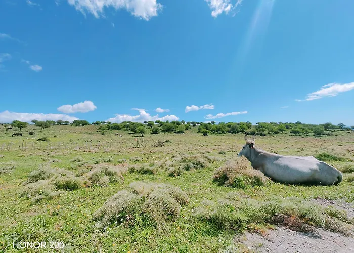 Aminth Relax Tra Mare E Colline サンタ・マリネッラ